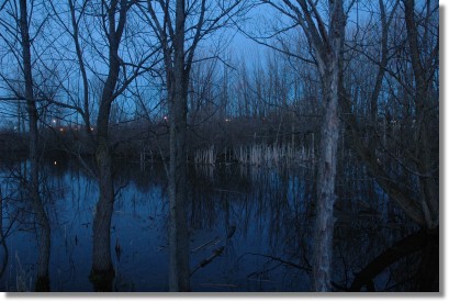 Evening by the Pond